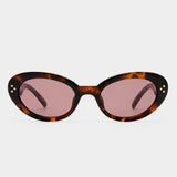Tootsie+ Sunglasses - Tortoise
