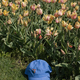 Holland Tulip Hat