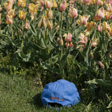Holland Tulip Hat