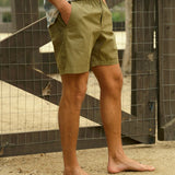 Pinnace Shorts - Mash Green