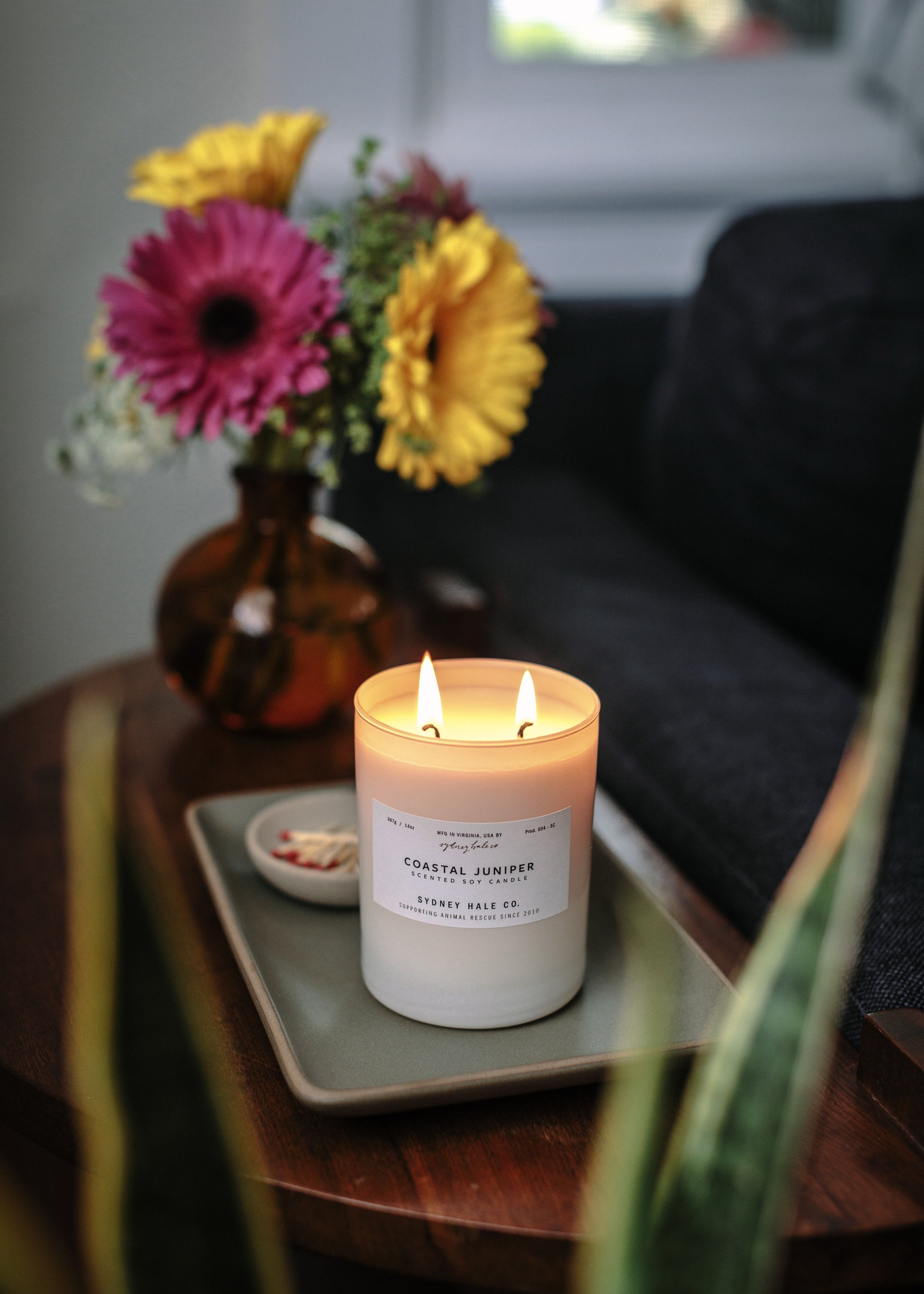 Sydney Hale Coastal Juniper 14 oz. candle