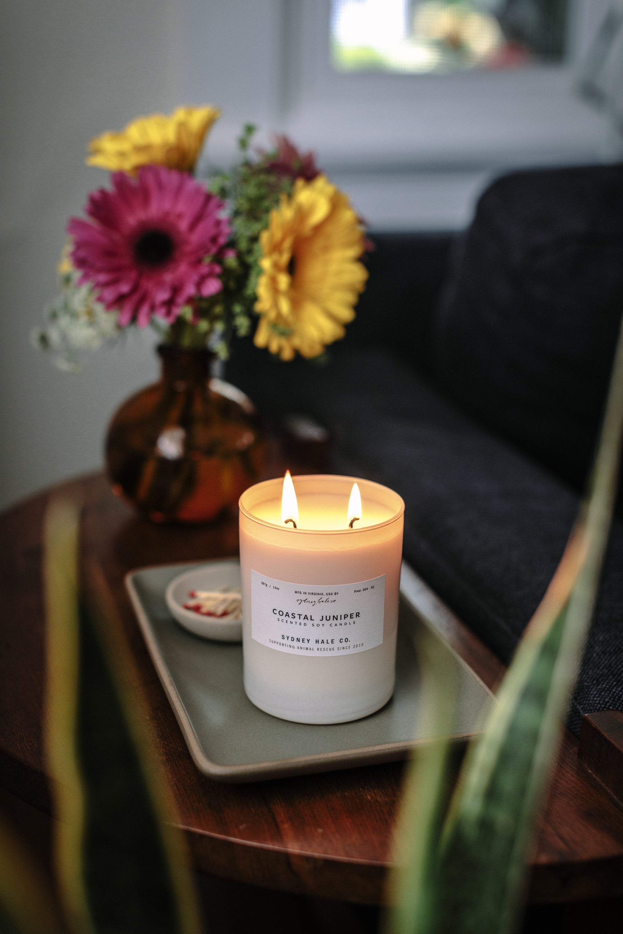 Sydney Hale Coastal Juniper 14 oz. candle