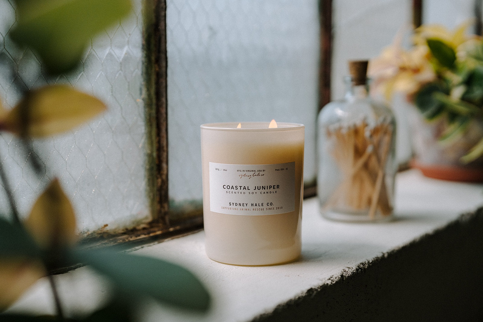 Sydney Hale Coastal Juniper 14 oz. candle