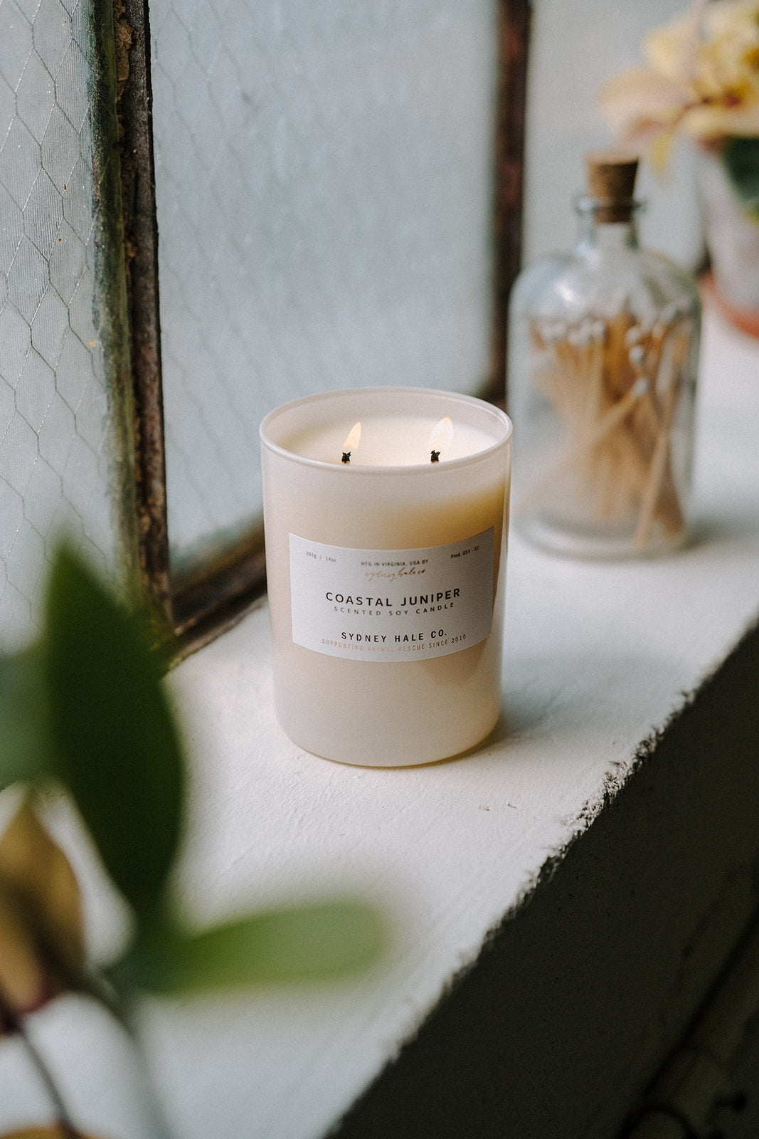 Sydney Hale Coastal Juniper 14 oz. candle