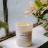 Sydney Hale Coastal Juniper 14 oz. candle