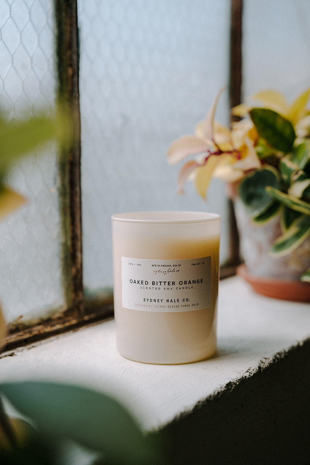 Sydney Hale Oaked Bitter Orange 14 oz. candle
