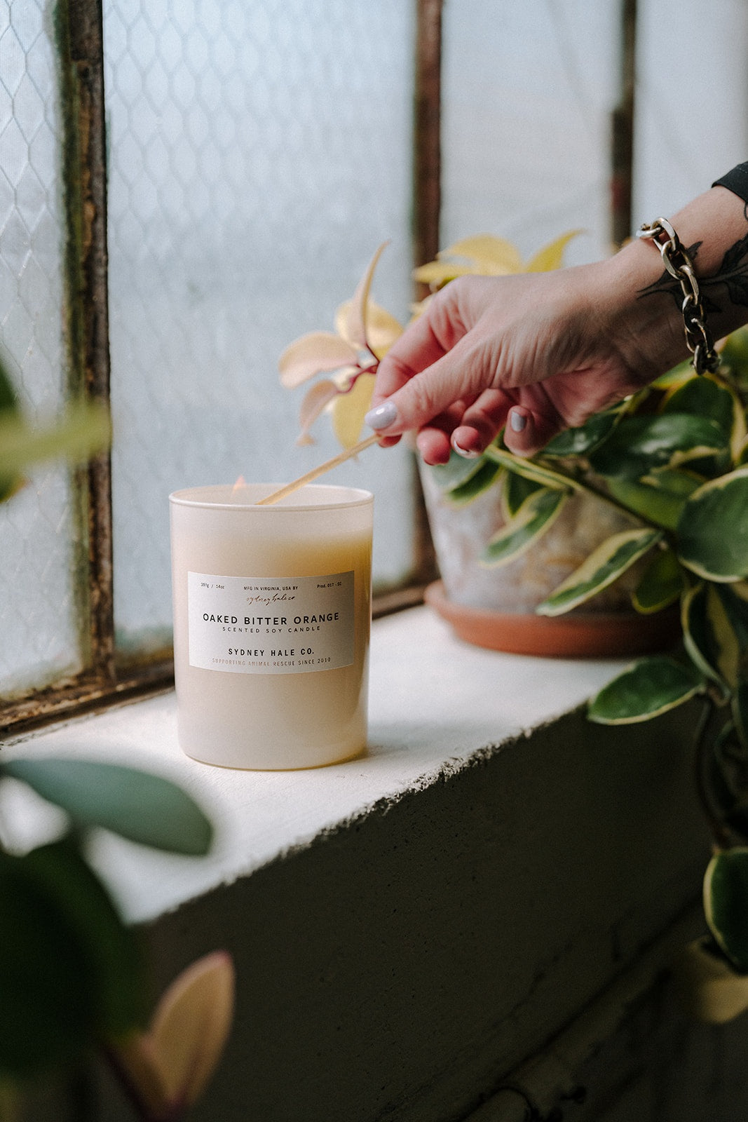 Sydney Hale Oaked Bitter Orange 14 oz. candle