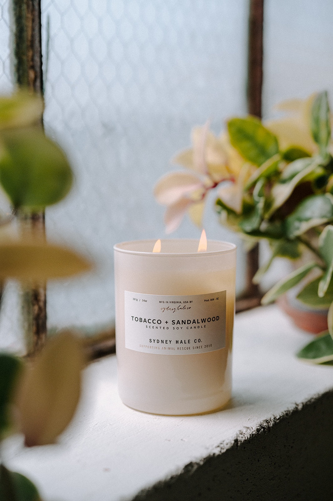Sydney Hale Tobacco + Sandalwood 14 oz. candle