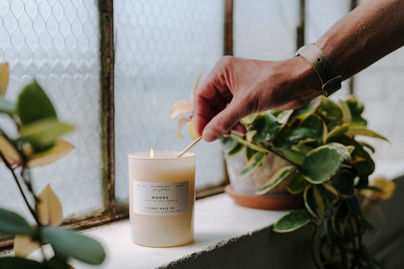 Sydney Hale Woods 14 oz. candle