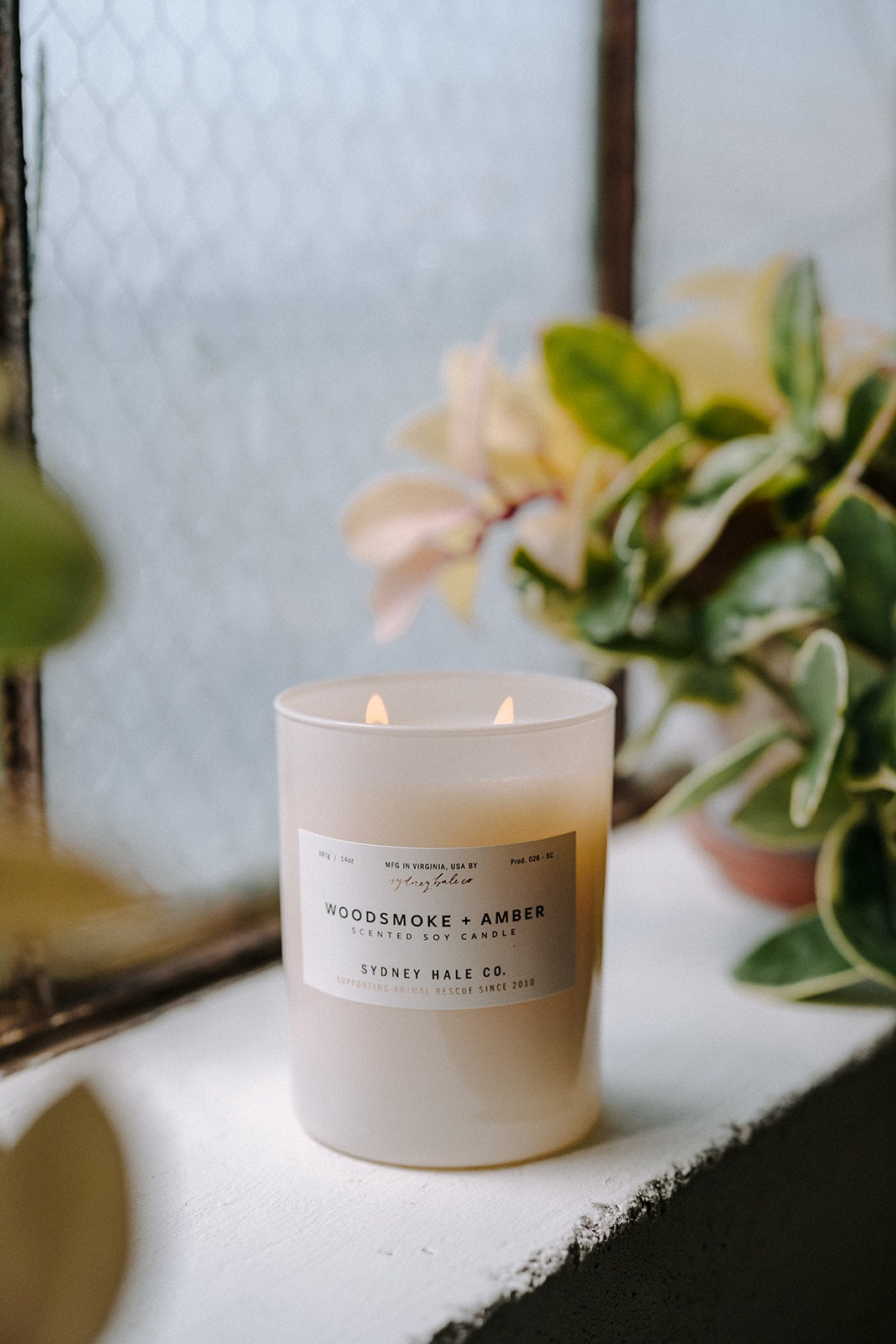 Sydney Hale Woodsmoke + Amber 14 oz. candle