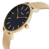 Transcend Watch - Gold