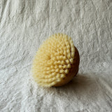 Massage Brush with Knob Handle